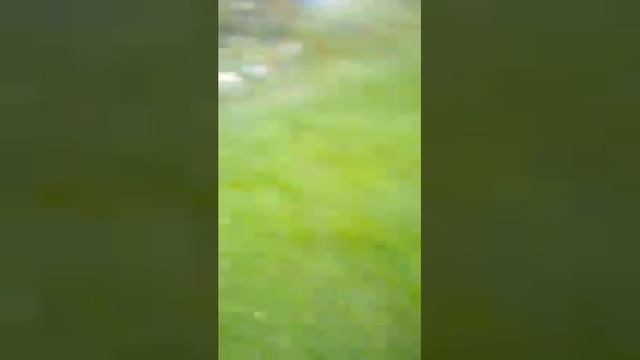 Слизняки. Обзор дачи. смотреть онлайн