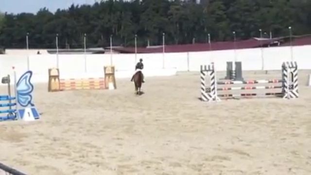 Колибри 100 см