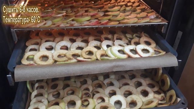 Сушка яблок в электрической духовке смотреть онлайн