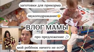 ВЛОГ :) мой ребёнок ничего не ест? заготовки для прикорма, звукоподражание про предложение (53)