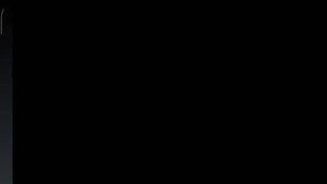 1000040141.mp4