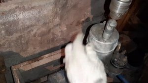 Гайковерт на основе дрели самодельный.