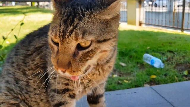 Мармарис. Турция. На эту улочку съезжаются все ‼ Самая знаменитая улица в Мармарисе.