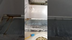 Не работает холодильник,морозильник морозит.