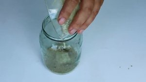 Надо лишь опрыскать этим: тля, белокрылка и паутинный клещ будут в шоке! Коллоидная сера - для чего