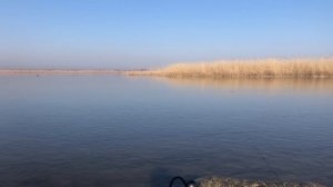 Пенсионеры на Волге / Рыбалка в сердце Астрахани