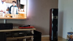 Denon DCD 1460 CD Player, Technics RS-B 765, YAMAHA AX-900, Focal Electra 1027 BE.