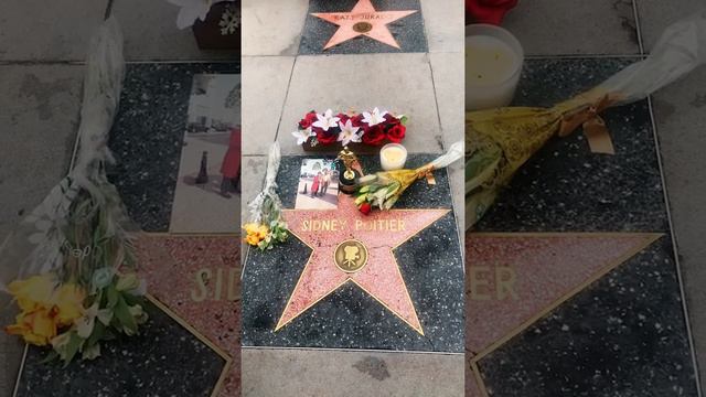 Rest in Power, Sidney Poitier!  Wreath laying at 1:00pm today-