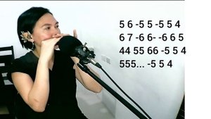 Heart of Gold Harmonica G Instrumental cover with tabs