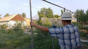 Шпалера из пластиковых бутылок.