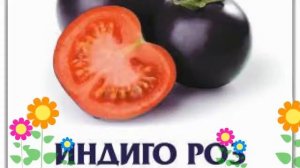 Томат Индиго Роуз (Indigo Rose). Краткий обзор, описание характеристик, где купить семена