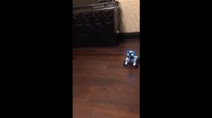 Робот чип умная собака для детей