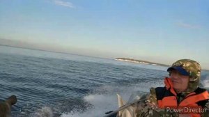 Куйбышевское водохранилище/ рыбалка /Камское устье