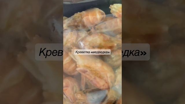 Козырьковый шримс, медведка, медвежонок шримс, магаданский шримс, креветка варёномороженая,