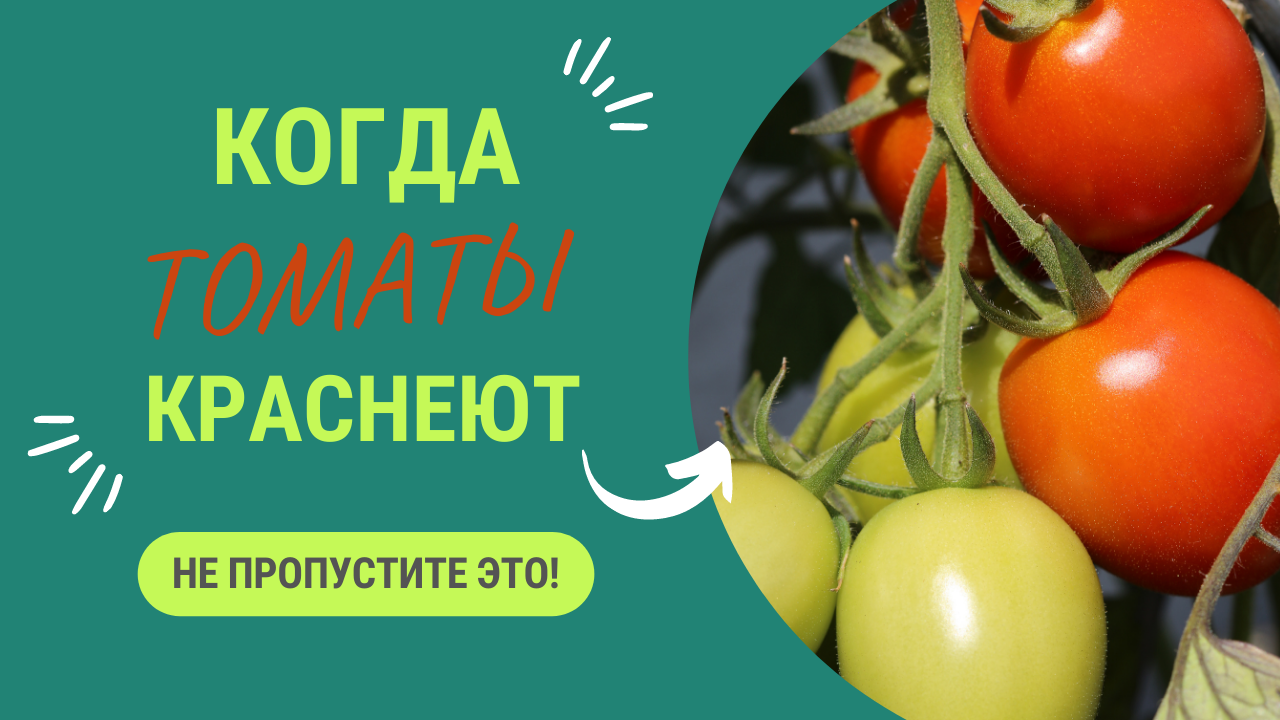 НЕ ПРОПУСТИТЕ ЭТОТ МОМЕНТ!