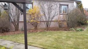 Обзор сада ландшафтного дизайнера Натальи Мягковой. Профессионал раскрывает секреты!!!