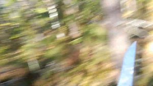 ИЩУ ГРИБЫ. Ч.2.