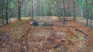 Строительство ЗЕМЛЯНКИ в ЛЕСУ СВОИМИ РУКАМИ! Строю ОДИН ЗЕМЛЯНКУ Bushcraft