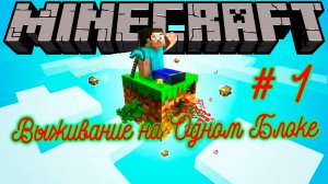 Выживание на Карте Один Блок\ Minecraft\ Часть 1