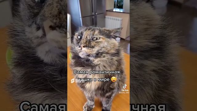 милый