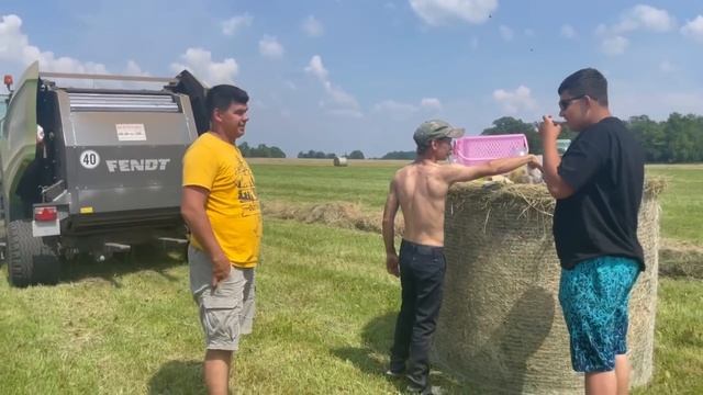 Работа кипит/ Рамазан опять сломал трактор/ Получилось съездить к лошадям/ Табунное коневодство смотреть онлайн