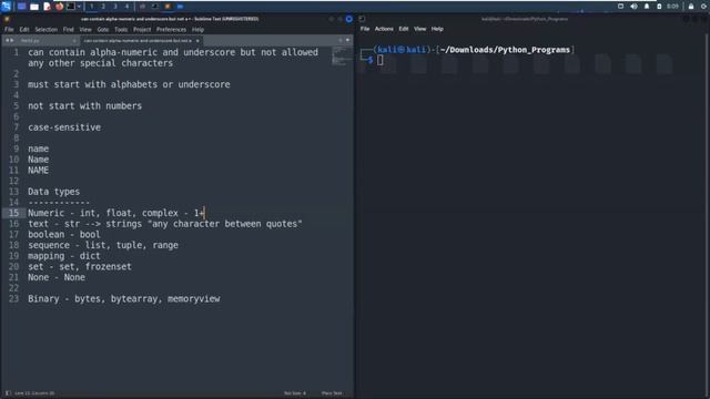 04 Variables & Data Types in Python - Leisure Codes