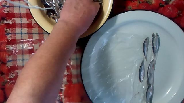 Тюлька впрок