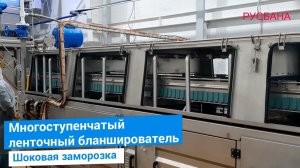 Бланширователь ленточный, проточного типа для различных видов овощей