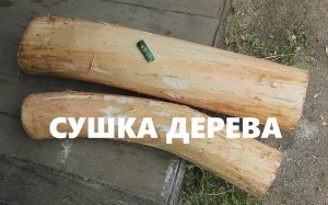 КАК СУШИТЬ ДЕРЕВО ДЛЯ РЕЗЬБЫ / How to dry Wood