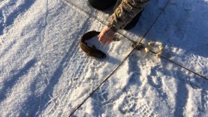 Зимняя рыбалка на реке Амур. Первая в новом году.