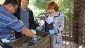 Трудотерапия с элементами гарденотерапии и арттерапии