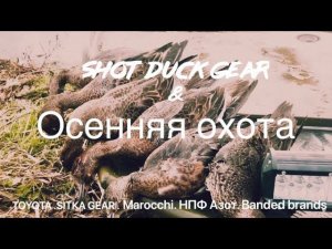 Отчёт с осенней охоты на утку  shotduckgear