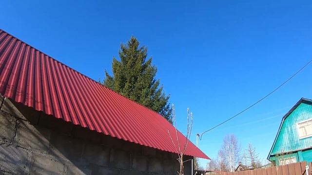 Садово огородное ассорти: посеяла морковь, обработала клубнику от болезней, поработала с малиной смотреть онлайн