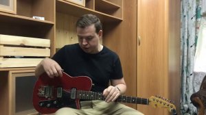 Обзор электрогитары Reverend