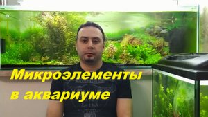 Микроэлементы и аквариумные растения. (Архив от 24.04.2022)