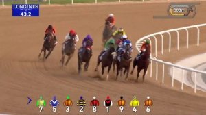 Race #1 - 24/02/23 - DWCC - Al Karama Stakes Presented by Defender 130