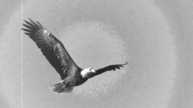 Chłopcy silni jak stal - Powstanie Warszawskie смотреть онлайн