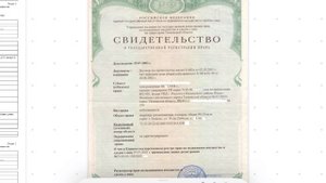 Разбираем документы, которые лежат у вас дома