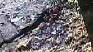 Затмение солнца,снятое на камеру 0,3 МП )