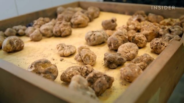 Hunting For White Truffles In Italy | Regional Eats смотреть онлайн