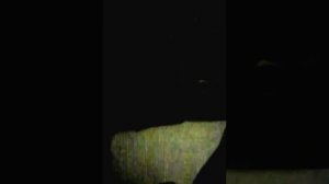 вырезать картины своими руками