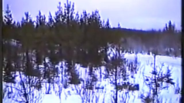 Ammeråjakten 1991 смотреть онлайн