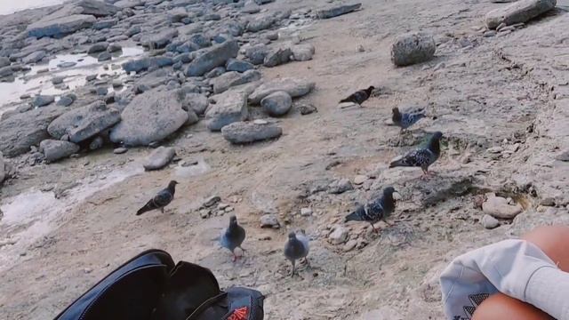 Актау, Казахстан. Август 2022 смотреть онлайн