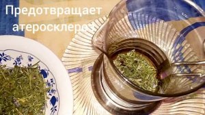 МЫШИНЫЙ ГОРОШЕК.Vicia cracca.Лечебные свойства.