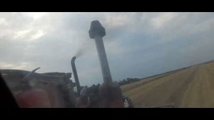 Сорт Монэ. 20июля 2023.