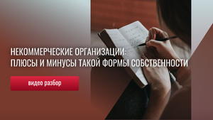 Преимущества и недостатки НКО, кто и как проверяет, особенности ведения бизнеса через НКО