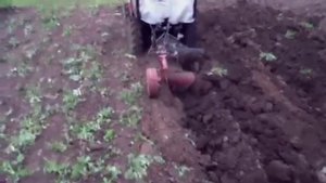 Мини-трактор Беларус-132Н пашет двухкорпусным плугом.