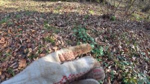 Коп в горах Сочи.Декабрь 2022.