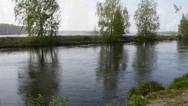 РЕФТИНСКИЙ 11 МАЯ.  СТАНЦИЯ ГРЭС. ПРИРОДА. МУЗЫКА.#музыка #рефтинский #свердловскаяобласть