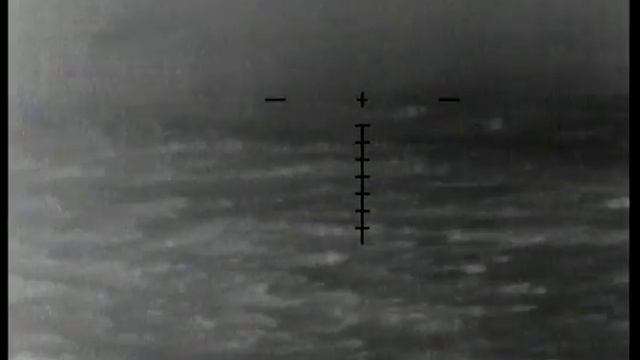 Теплоприцел FORTUNA ONE 3L смотреть онлайн